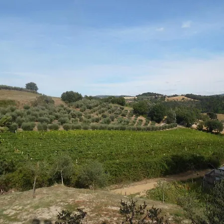 Podere Caldaruccio La Pineta For 18 People Ramazzano - Le Pulci