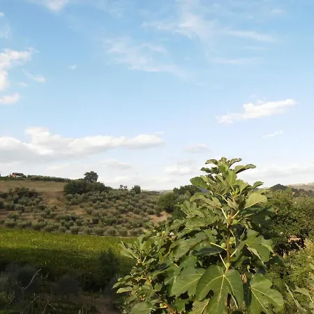 Podere Caldaruccio La Pineta For 18 People *