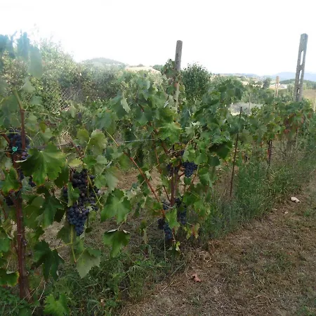 Holiday home Podere Caldaruccio La Pineta For 18 People