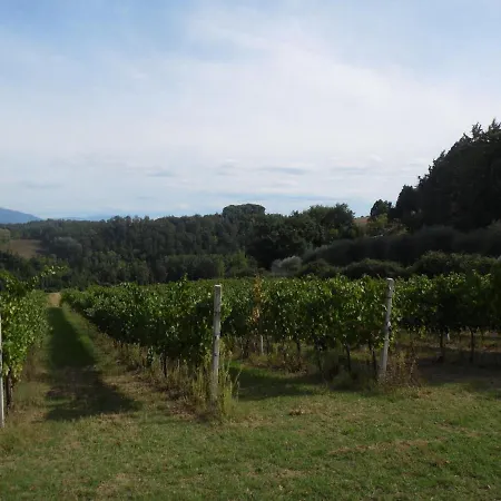 Podere Caldaruccio La Pineta For 18 People Holiday home Ramazzano - Le Pulci