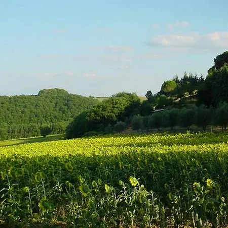 Podere Caldaruccio La Pineta For 18 People Holiday home *