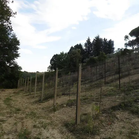 Podere Caldaruccio La Pineta For 18 People Ramazzano - Le Pulci