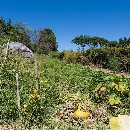 Holiday home Podere Caldaruccio La Pineta For 18 People Ramazzano - Le Pulci