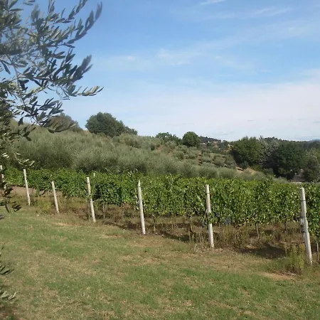 Holiday home Podere Caldaruccio La Pineta For 18 People Ramazzano - Le Pulci